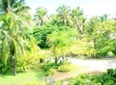 Фото Lagoon Lodges Rarotonga