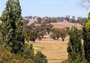 Фото Alabaster Motel Cowra