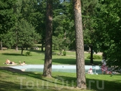 бассейн в парке