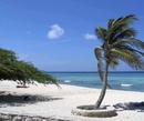 Фото Arashi Beach