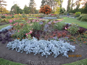 Queen's Elizabeth park, Vancouver