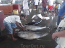 тунец )рыбный рынок