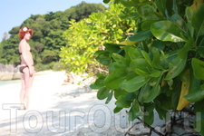 Симиланские острова