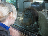 В римском зоопарке. Мы похожи?:) В римском зоопарке. Мы похожи?:)