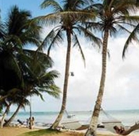 Фото отеля Cocoplum Beach Hotel San Andres Фото отеля Cocoplum Beach Hotel San Andres