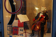 Кот-музыкант в витрине музыкального магазина!