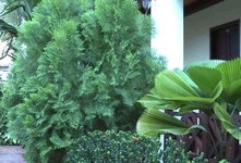 Villa Saykham Hotel