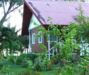 Фото Carp Island Resort Koror