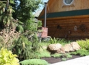 Фото Green Roof