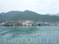 красота красота