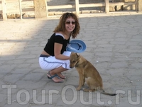 я с собачкой в Луксоре