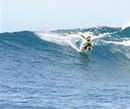 Фото Rendezvouz Beach Resort