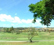 The Woods at Palmas del Mar