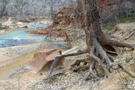 Virgin river