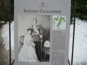 Замок Сесилиенхоф служило резиденцией кронпринца Вильгельма(1882-1951) и его жены  Сесилии фон Мекленбург-Шверино (1886-1954),состоит из 176 комнат,построен ...