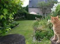 Bed & Breakfast La Cle du Sud Merelbeke-Bottelare