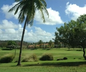 The Woods at Palmas del Mar
