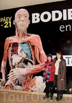 Ходили на выставку BODIES REVEALED («Секреты тела»). Там выставлены настоящие человеческие тела, которые обработаны и сохранены с помощью нового метода ...
