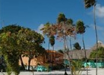 Blackbird Caye Resort