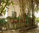 Фото Lani Guesthouse