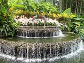 фонтан напротив входа в Сад орхидей