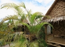 Фото Amazon Bungalow