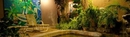 Фото Sous Le Badamier