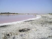 Общий вид грязелечебного озера Тинаки в августе