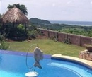 Фото Casa De Olas