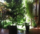Фото Your Nice Home