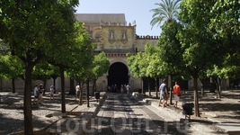 Cordoba - Mesquita