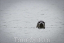 Круиз на Дальний Восток