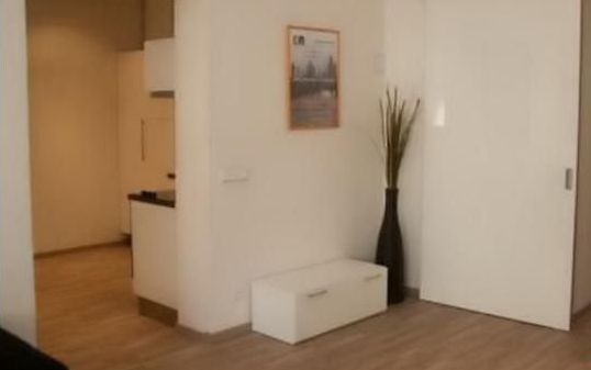 Apartment - The Modern Flat