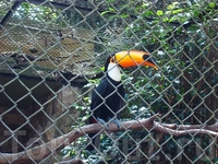 zoo