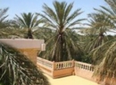 Фото Du Jardin