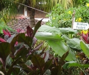 Villa Paraiso