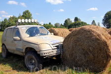 а ещё немного развлекались, устроили "футбол" :) а ещё немного развлекались, устроили "футбол" :)