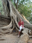 Ta Prohm