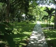 Midas Resort
