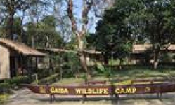 Gaida Wildlife Camp Lodge Chitwan