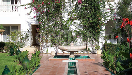 Thalassa Dar Zakarya