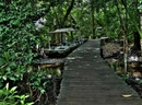 Фото Kosrae Village Ecolodge