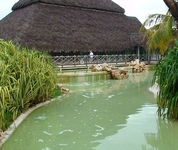 Sandals Royal Hicacos