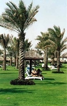 Sheraton Jumeira Beach Resort & Towers