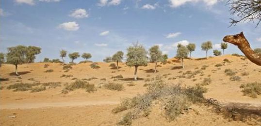 Banyan Tree Al Wadi