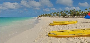 Tamarijn Aruba