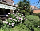 Фото Apartments Apollonio