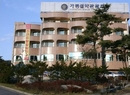 Фото Gapyeong Seorak Tourist Hotel