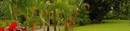 Фото The Still Plantation Resort Soufriere