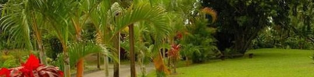 The Still Plantation Resort Soufriere